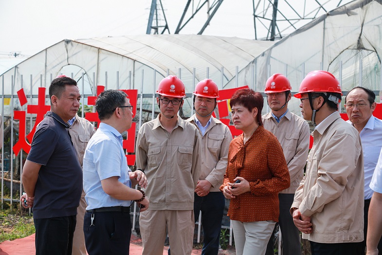 江苏能源监管办开展重要输电通道安全风险管控现场督导调研